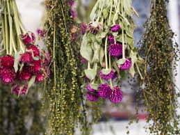 Some men carry them that way in public because they think it makes them less girly some people carry them that way to prevent the sap from running out. How To Dry Flowers And Preserve Their Color