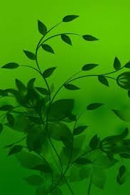 Check spelling or type a new query. Corak Daun Wallpaper Muat Turun Ke Telefon Bimbit Anda Dari Phoneky