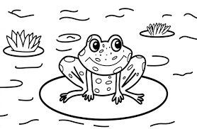 Check spelling or type a new query. Gambar Animasi Katak Lucu Kolase Gambar Katak Source E993 Com Gambar Manis Hewan Imut Hijau Katak Amfibi Ma Halaman Mewarnai Menggambar Katak Gambar Kartun