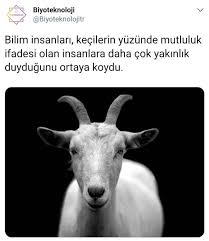 Murat Cimen Adli Kullanicinin Instagram Panosundaki Pin Biyoteknoloji Bilgi Karti Gercekler