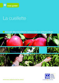 Msa Sante Securite En Agriculture La Cueillette Livret D Accueil