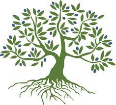 Olivetree Initiative Olivetreeinit Olive Tree Tattoos Tree Drawing Tree Art