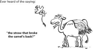 You might hear it called anovulatory bleeding. Helpingcarers Help Themselves Using A Cognitive Approach Chapter 8 Back To Life Back To Normality