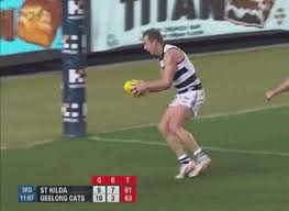 Search, discover and share your favorite geelong cats gifs. Game Day Round 23 V The Greater Western Sydney Giiiiiiiants Bigfooty