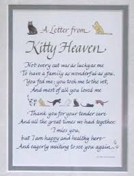 Throughout our life we amass collections of friends and treasured possessions. Cat Pet Loss Poems Pet S Gallery