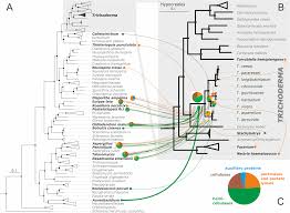 We did not find results for: Plos Genetics Massive Lateral Transfer Of Genes Encoding Plant Cell Wall Degrading Enzymes To The Mycoparasitic Fungus Trichoderma From Its Plant Associated Hosts