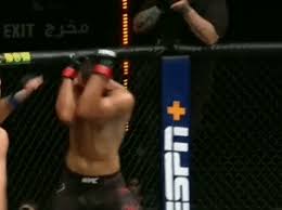 Siete meses después del duelo ante jones se medirá al experimentado jan blachowicz, quien llegará con tres triunfos al hilo, dos de ellos por nocaut y bono por desempeño. Jan Blachowicz Tko Dominick Reyes Gifs Page 6 Sherdog Forums Ufc Mma Boxing Discussion