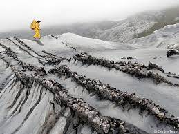 Gobierno regional de madre de dios ofrece este antiparasitario de manera gratuita, pese a que fue rechazado por el ministerio de salud en madre de dios. Ultima Patagonia An Underground Scientific Expedition Deep In Chilean Patagonia