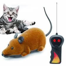 Pernahkah anda mendengar vaksinasi pada kucing? Mainan Kucing Persia Peaknose Kampung Dome Anjing Tikus Remote Control Murah Shopee Indonesia