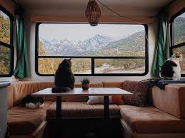 Your cat will try and escape to seek the thrill and adventure that's on the outside. 8 Tips For Rving With Cats Unique Rv Camping With Harvest Hosts