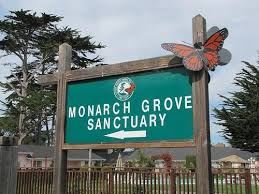 Check spelling or type a new query. Pacific Grove Ca
