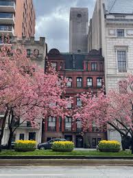 In the upper east side, 7% of residents live in poverty, compared with 20% of nyc residents. Habitually Chic Upper East Side