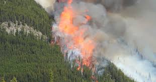 See where wildfires are burning in the forested areas of alberta and how they impact you. Alberta Wildfires Risk 23 Active Fires 1 Out Of Control Wildfire Narcity