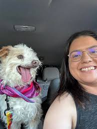 Soft foods after tooth extraction and implants