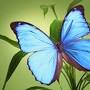 Profile Picture of Contributions to the tribute of Ruby Lee Parker - Walker's Funeral Homeon Google