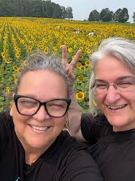 Sunflower seeds harvested from famous cabin plants