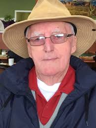 Albert Peter Dyck, Obituary, Alternatives