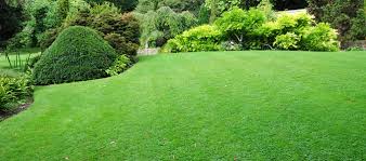Pro pest control has over 30 years experience in commercial and residential service at the lake. Ab Pest Control Insulation Lake Of The Ozarks Home Lifestyle Sport Show Year Round