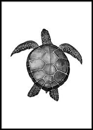Black And White Art Prints Uk Black And White Prints Black And White Art At Desenio Co Uk Kunst Foto S Kunst Ideeen