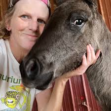 Skyhorse Ranch and Kennel, Texas