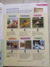 Aplikasi ini mengandungi nota sains yang ringkas dan padat. Buku Teks Sains Tingkatan 2 Kssm Textbooks On Carousell