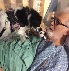 San Diego Veterans Magazine August 2023 by HOMELAND MAGAZINE