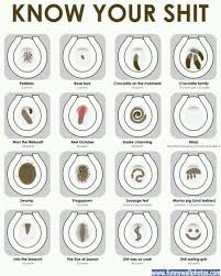 Knowing About This You Can Avoid A Bowel Obstruction Surgery Or Worse Thus Know About Your Bowel Movement Nursing Pinterest