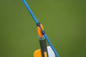 11 Steps To Archery Success Flashcards Quizlet