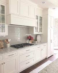 Here's everything you ever wanted to know about them so you can make an. Counters Lg Viatera Quartz Color Everest Cabinets Custom Cabinetry Color Benjam White Shaker Kitchen Cabinets White Shaker Kitchen Kitchen Renovation
