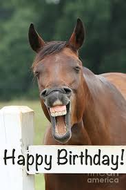 See more ideas about happy birthday horse, happy birthday, birthday. Happy Birthday Smiling Horse Photograph By Jt Photodesign
