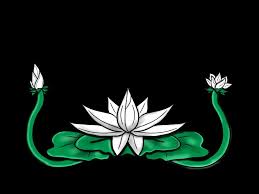 Wallpaper hd logo klub sepakbola keren. Psht Nusantara Home Facebook