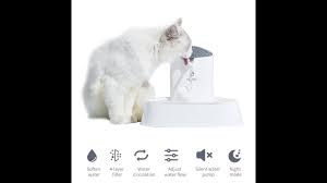 Isyoung cat fountain led pet water fountain. Els Pet Seashell Water Fountain Tutorial Youtube