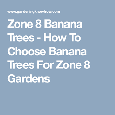 Check spelling or type a new query. Zone 8 Banana Trees How To Choose Banana Trees For Zone 8 Gardens Banana Tree Different Fruits And Vegetables Zone 8