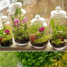 Gefallt 297 Mal 5 Kommentare Mossaterra Auf Instagram Najnowsza Kwiatowa Kolekcja Mossariow Na P Plant Decor Indoor Orchid Terrarium Plant In Glass