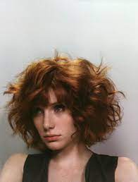Bryce Dallas Howard Thick Hair Styles Short Hair Styles Poofy Hair