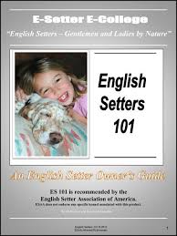 More english setter puppies / dog breeders and puppies in poland. English Setters Gentlemen And Ladies By Nature