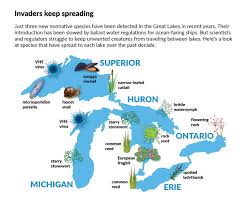 Download usa regional maps to print #177512. Great Lakes Freighters May Have To Treat Ballast Water To Curb Invasives Wisconsinwatch Org