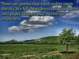 Searching for some inspiration to start being more environmentally friendly? Quotes About The Environment Quotesgram