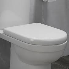 Nylon bolts on eljer soft close seat that hold seat to toilet are stripped. D Shaped Rapid Fix Soft Close Toilet Seat Victorian Plumbing Uk