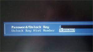 Once payment is completed you will immediately receive . Solved How To Unlock Dell Vostro Bios Password Fixya