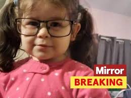 Girl, 2, fighting for life after being found in park's fountain in heatwave 