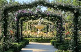 La Rosaleda Del Parque Del Retiro Madrid Gardens Of The World Madrid Spain Places In Spain