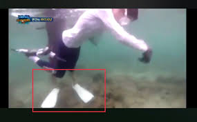 มารู้จัก หอยมือเสือ (giant clams) เป็นหอยสองฝาขนาดใหญ่ที่สุด ซึ่ง. à¸«à¸­à¸¢à¸¡ à¸­à¹€à¸ª à¸­ Hashtag On Twitter