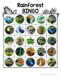 rainforest free printable bingo cards precision printables