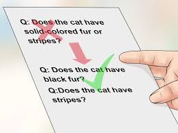 How To Make A Dichotomous Key 10 Steps With Pictures