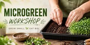 Sip & Plant: Microgreens Workshop