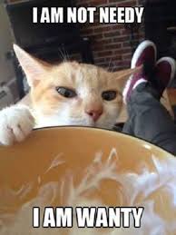 Funny Cat Refrigerator Magnet 3 1 2 X 4 1 2 Ebay Funny Animal Pictures Funny Animal Memes Cute Funny Animals