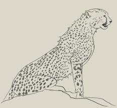 This instruction will be traditionally very simple, and the team оф easydrawingart.com is confident that even the most inexperienced artist will be able to draw a cheetah. How To Draw Cheetah Drawing And Digital Painting Tutorials Online