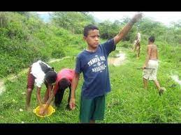 Así es, aunque pueda parecer un mito o una escena de cine, lo cierto es que este fenómeno es real y que ocurre de forma anual en honduras. Llueven Peces Fenomeno En Honduras Cae Lluvia De Peces En Yoro1 Lluvia Honduras Peces