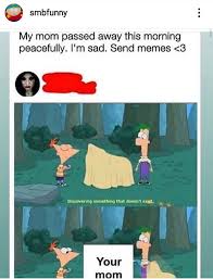 Instagram, too, would be little more than selfies and stylized pictures of food. The Best Reddit Memes Memedroid